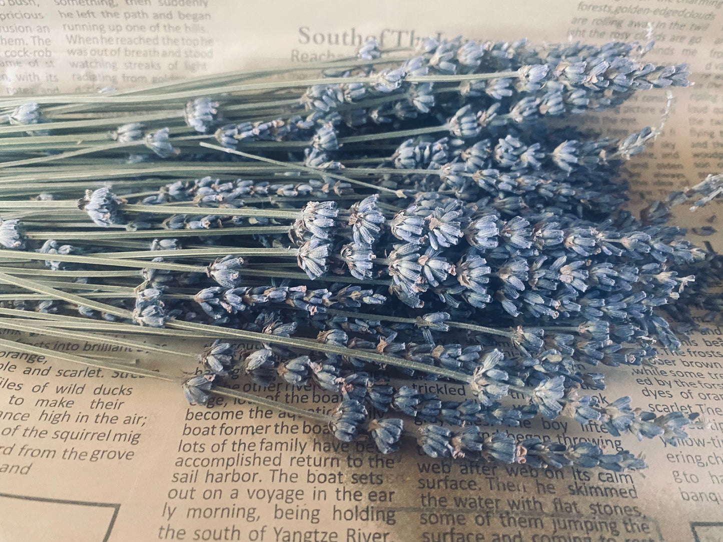 Lavender calming oil ￼